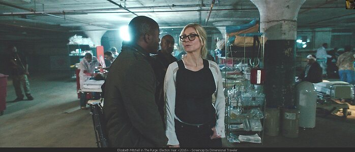 Elizabeth Mitchell leaked photo #19