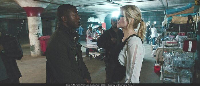 Elizabeth Mitchell leaked photo #20