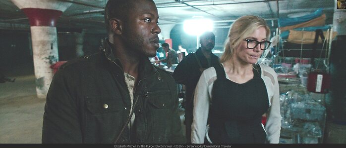 Elizabeth Mitchell leaked photo #21