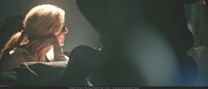 Elizabeth Mitchell leaked photo #25