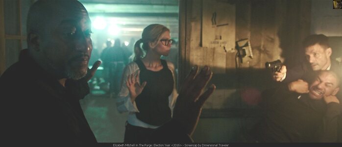 Elizabeth Mitchell leaked photo #30