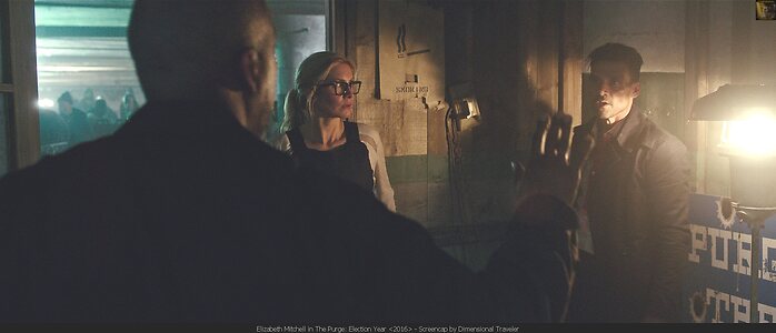 Elizabeth Mitchell leaked photo #31