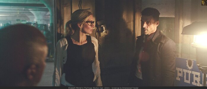 Elizabeth Mitchell leaked photo #32