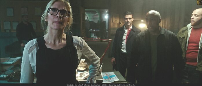 Elizabeth Mitchell leaked photo #35
