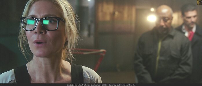 Elizabeth Mitchell leaked photo #39