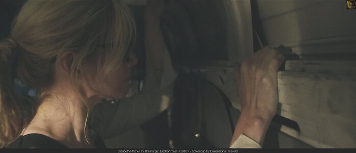 Elizabeth Mitchell Nude Leaked Photo #60