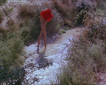 Ellen Barkin leaked photo #17