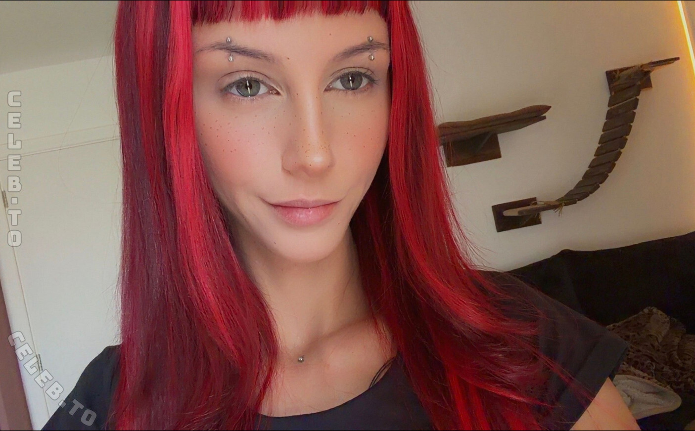 Ellexxaurus photo