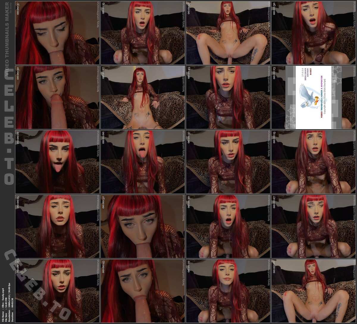 Ellexxaurus photo