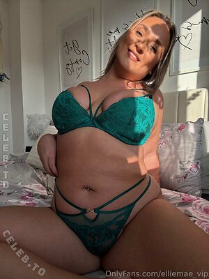 elliemae_vip