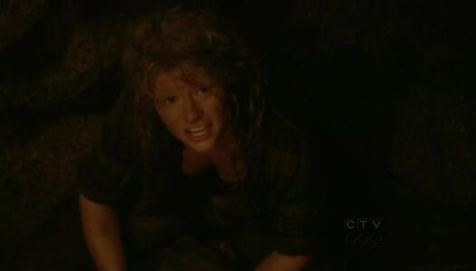 Emilie de Ravin leaked photo #18