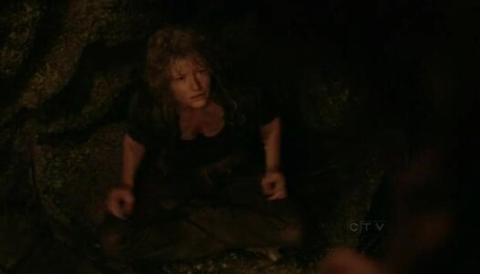 Emilie de Ravin leaked photo #23