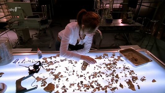 Emily Deschanel leaked photo #44