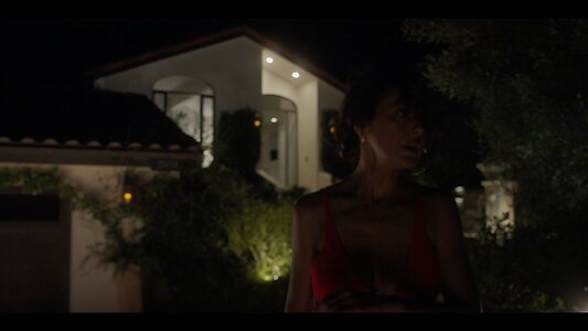 Emmanuelle Chriqui leaked photo #53