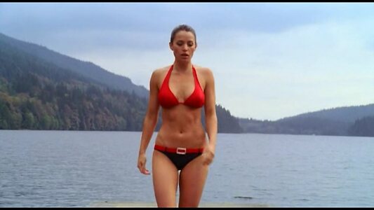 Erica Durance leaked photo #224