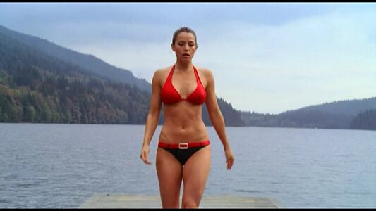 Erica Durance leaked photo #315