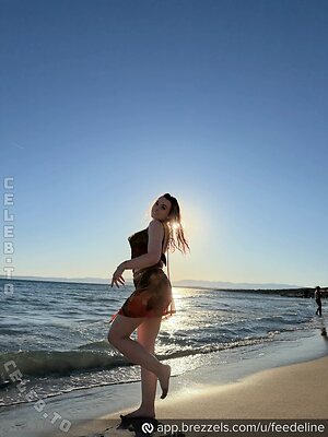 Feedeline photo
