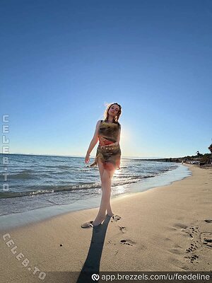 Feedeline photo