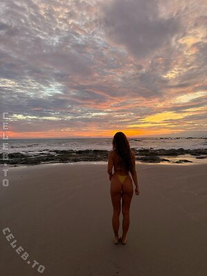 Gabby Scheyen Nude Leaked Photo #3