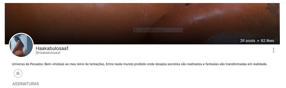 Gatas de Recife