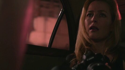 Gillian Anderson leaked photo #12