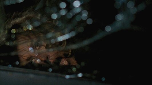 Gillian Anderson Nude Leaked Photo #72