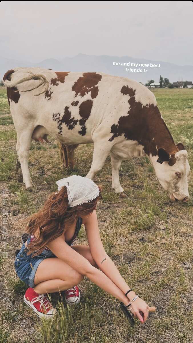 Hannah Stein photo