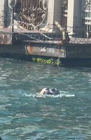 Hazal Bayazit leaked photo #16
