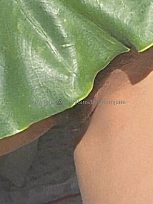 HotMomJane leaked photo #161