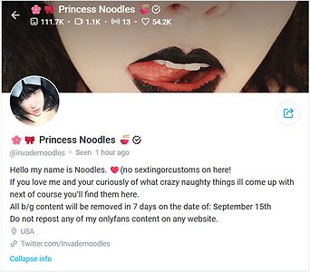 Invadernoodles