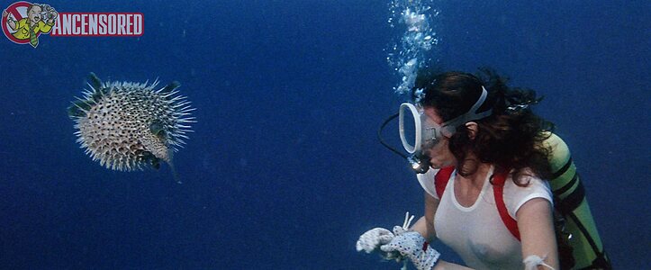 Jacqueline Bisset