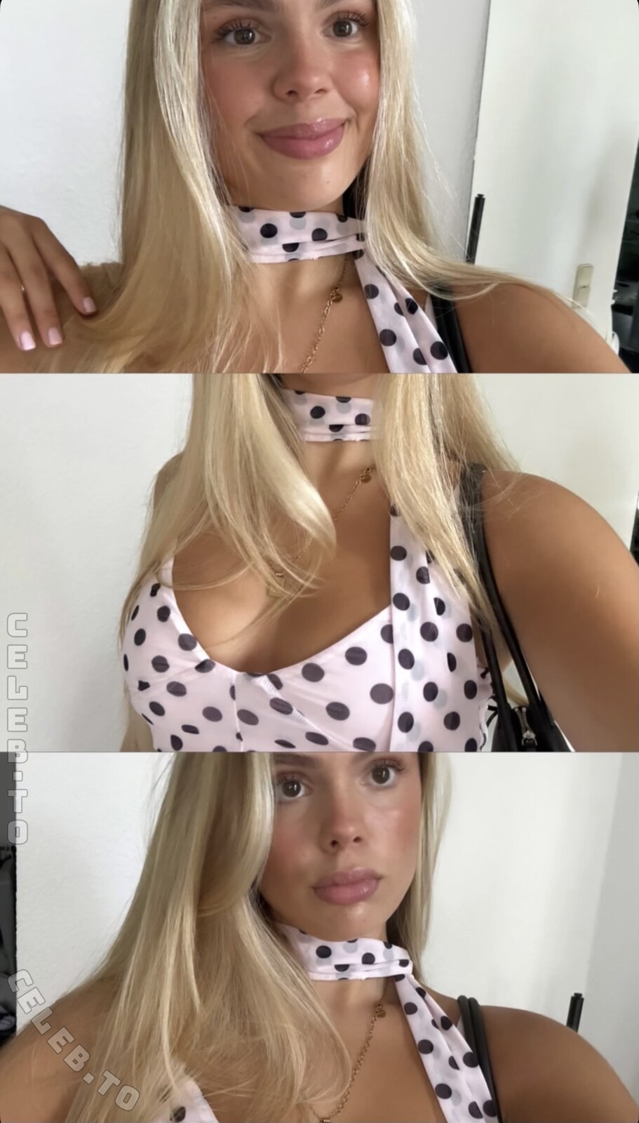 jellefeline photo