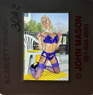 Jo Guest