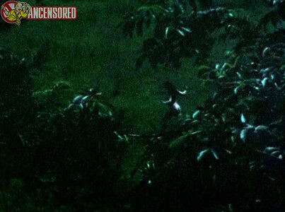 Judi Dench Nude Leaked Photo #8
