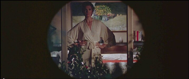 Julie Andrews Nude Leaked Photo #15