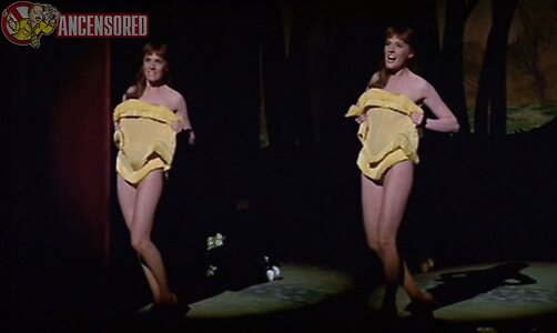 Julie Andrews Nude Leaked Photo #20
