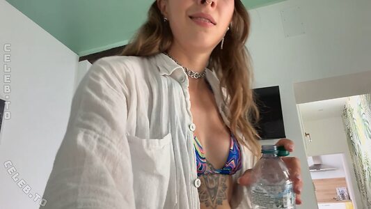 Junicats photo
