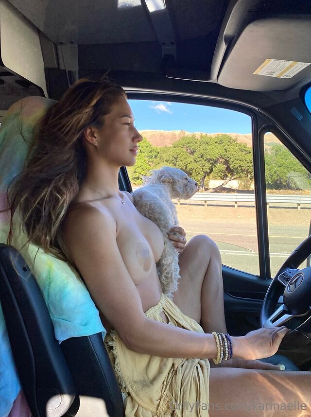 Karina Elle leaked photos