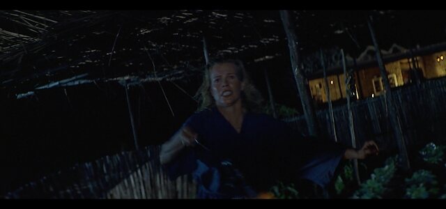 Kim Basinger