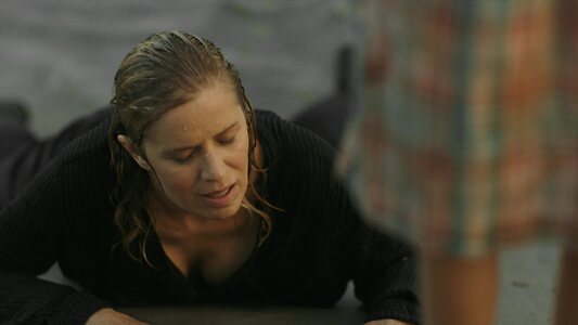 Kim Dickens