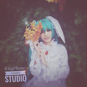 King Angel