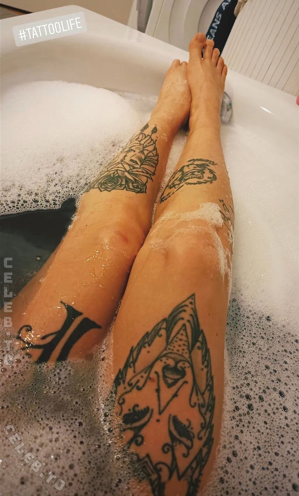 kirschii_m photo