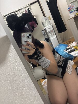 Koyoimairu