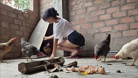 La criadora de gallinas