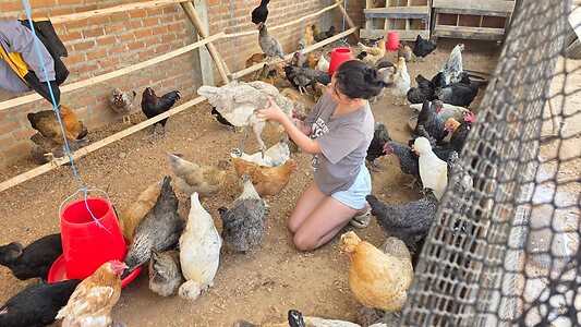 La criadora de gallinas leaked photo #12