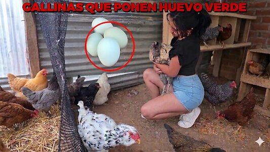 La criadora de gallinas leaked photo #15