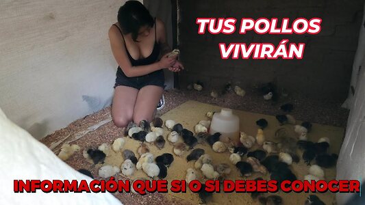 La criadora de gallinas leaked photo #17