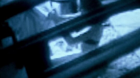 Laura Cayouette leaked photo #30