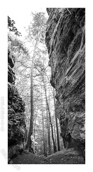 Laura Li Nude Leaked Photo #46