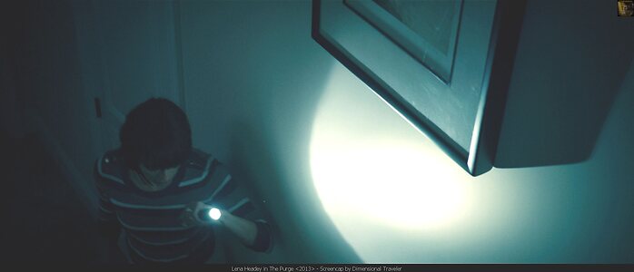 Lena Headey leaked photo #3